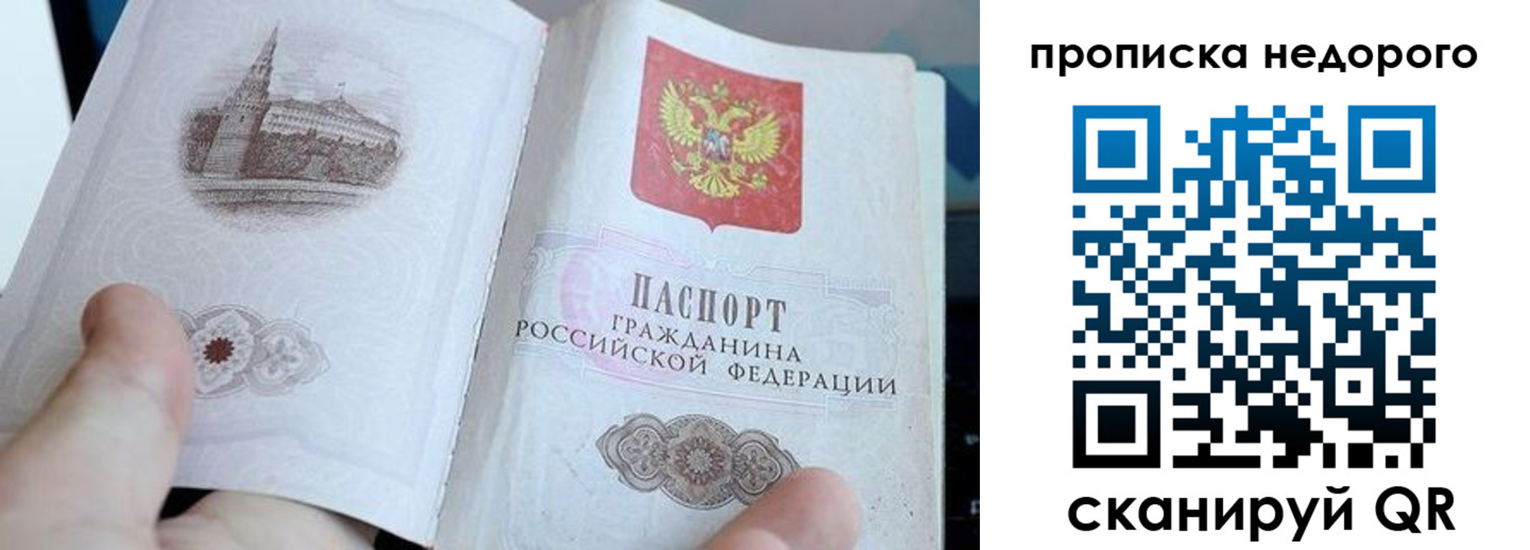 пропишу в квартире в Снежногорске